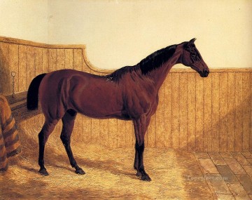 Un cazador de bahía en una caja suelta Arenque Snr John Frederick caballo de carreras Pinturas al óleo